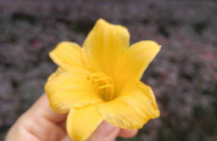 心情低落时如何调整