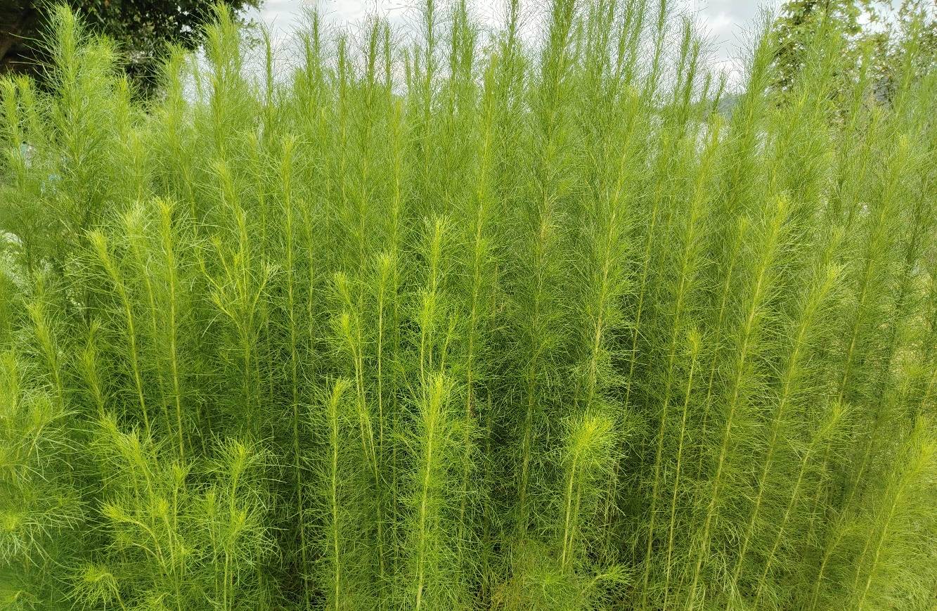 愉快的一天