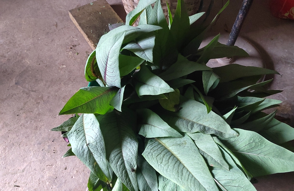 破茧：挣脱情绪压抑的束缚