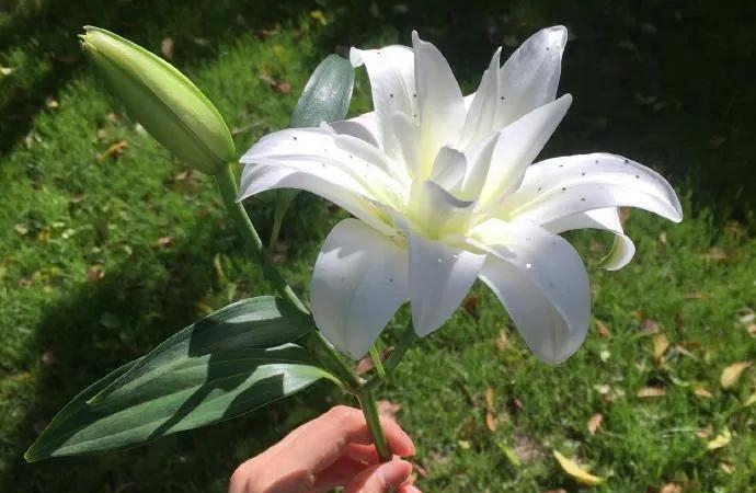 感情挽回的方法