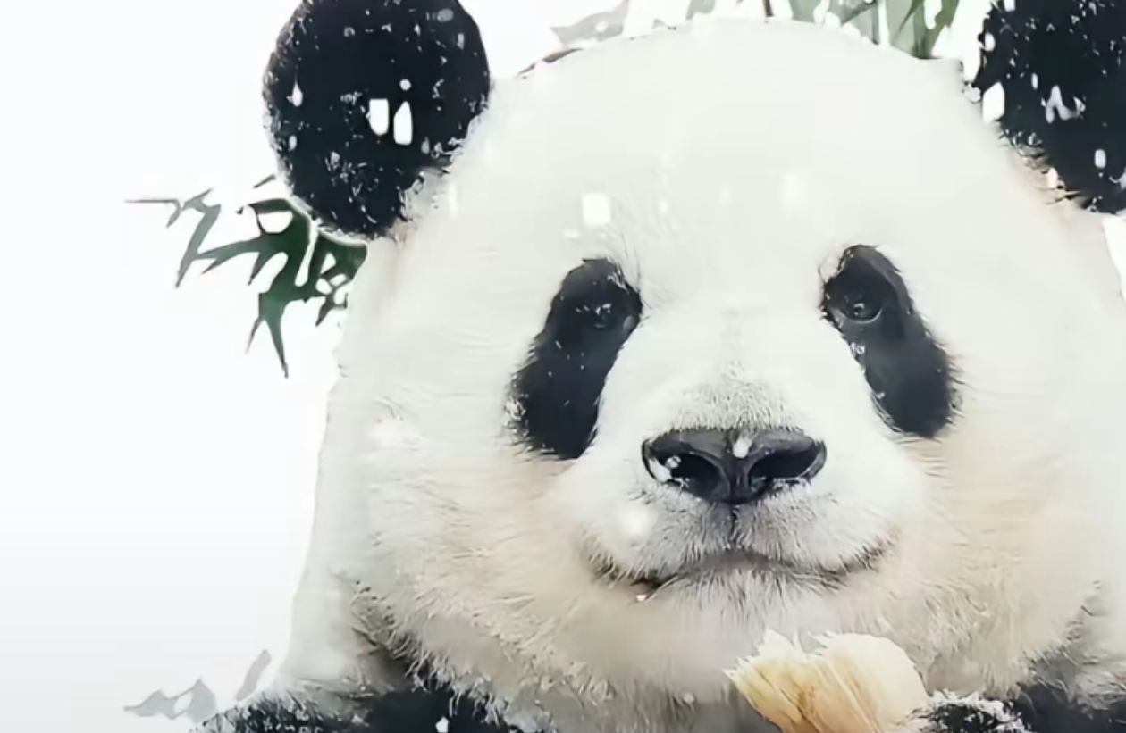 男生和女生对安全感的认知差异有哪些？