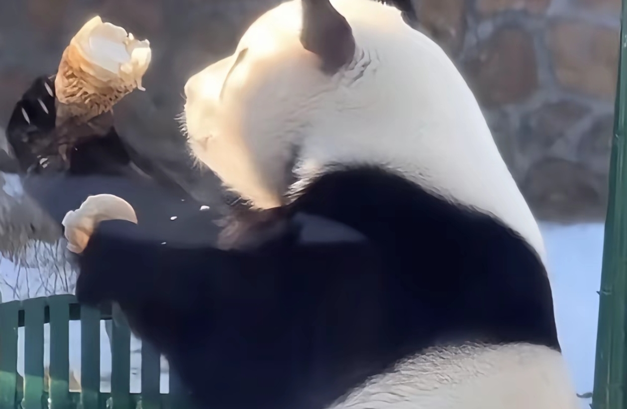 什么是情感需求，有什么表现？