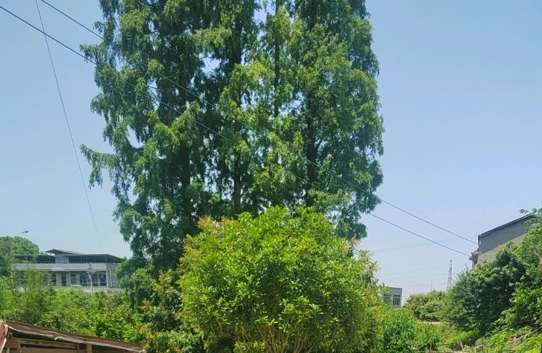 穿越迷雾，在关系中照见彼此与自我