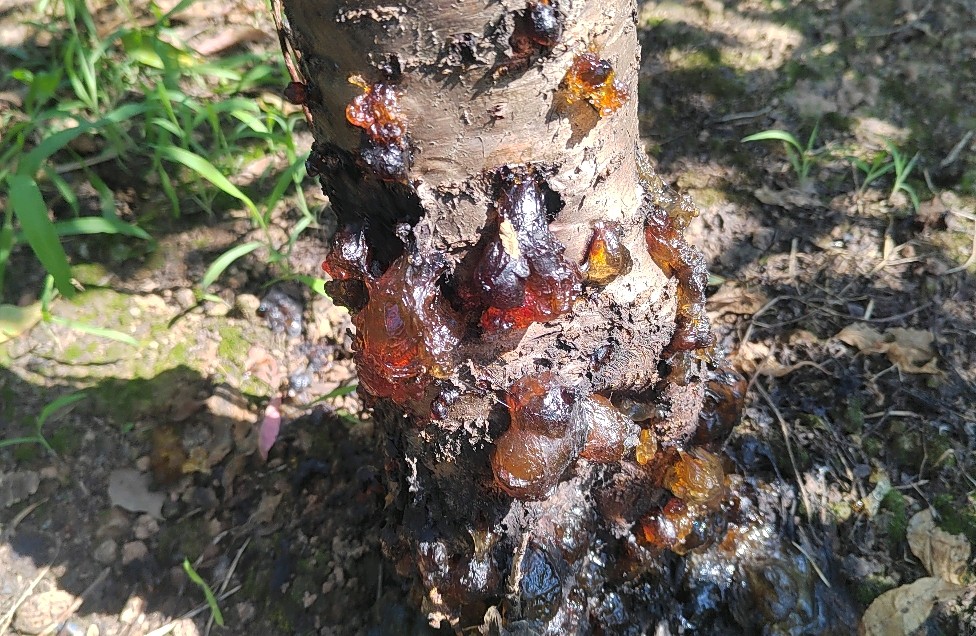 情绪不是敌人：写给在内心风暴中挣扎的你