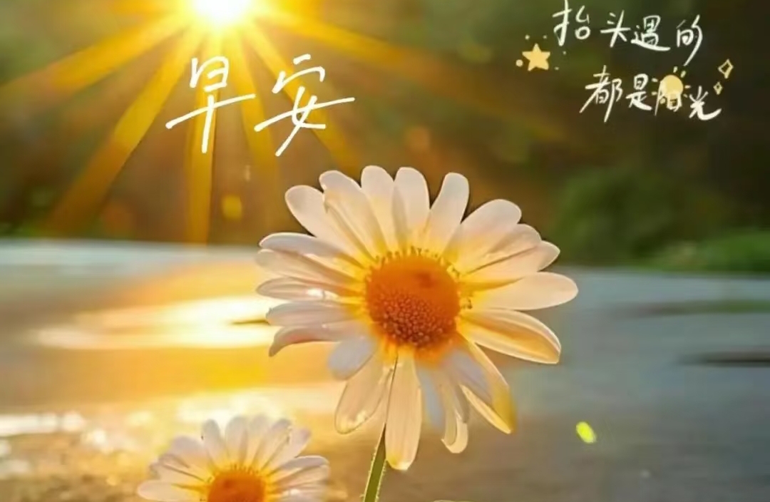 在倾诉路上看见成长的微光
