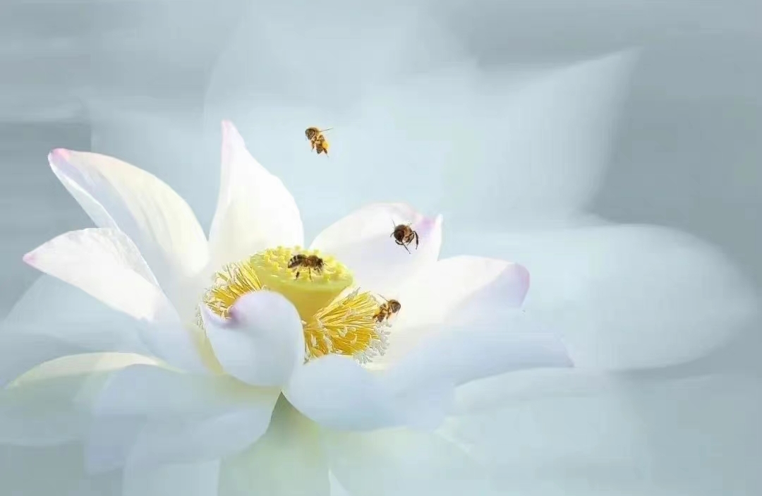 破茧：在“贬低”风暴中守护婚姻与自我