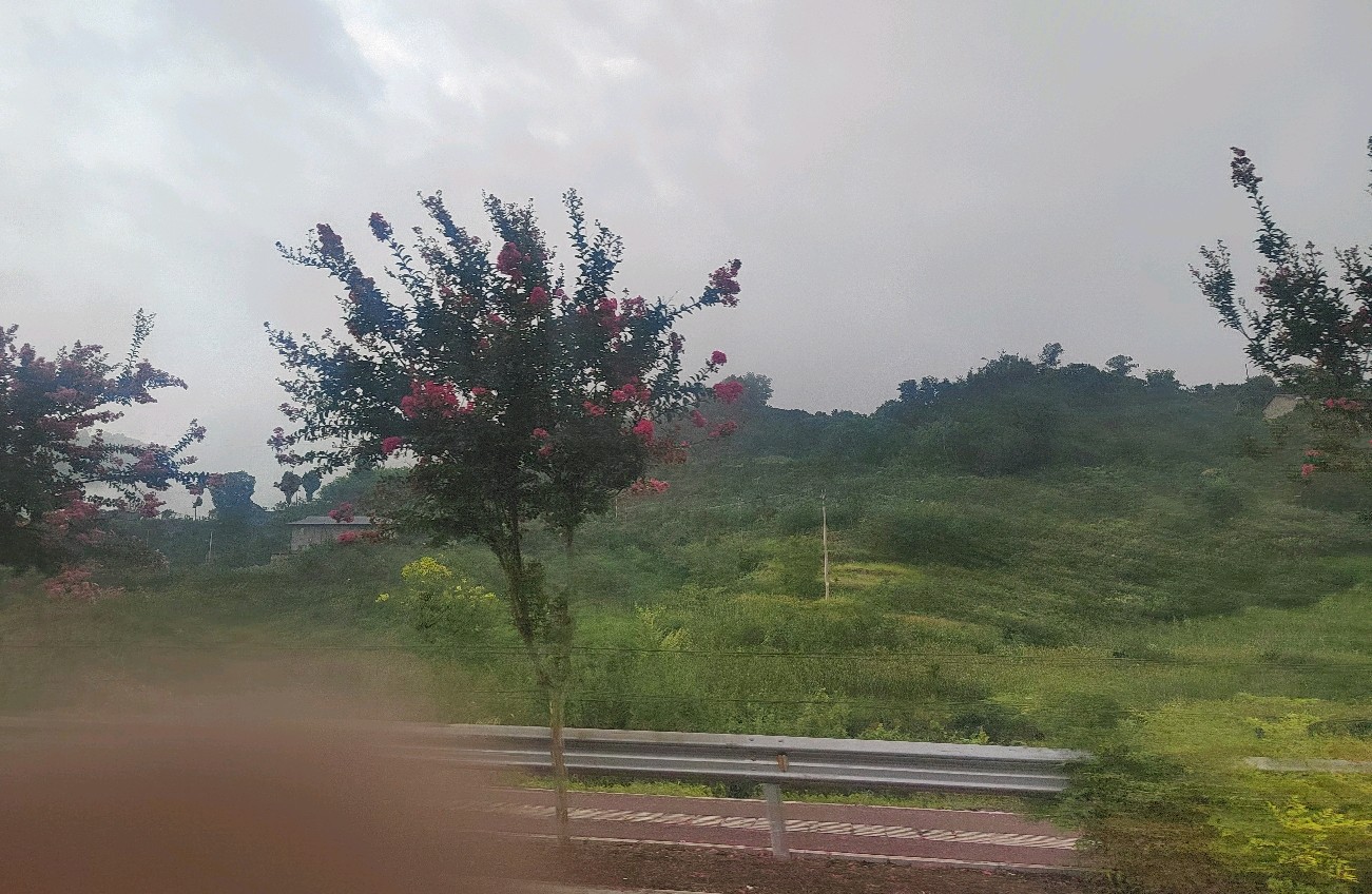 构建美满婚恋的实用之道