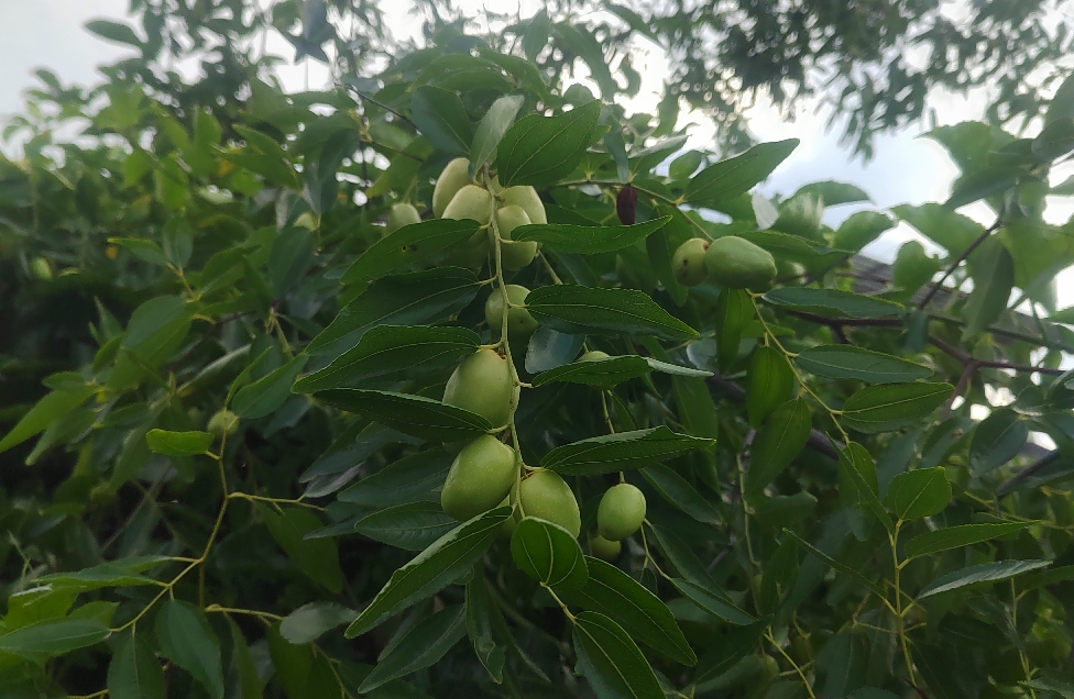 携手走过风雨，共筑幸福港湾