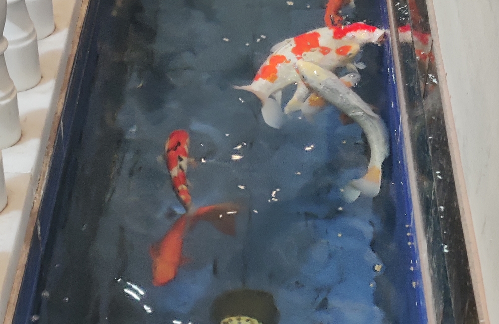 原生家庭对个人情感发展影响的深入探讨