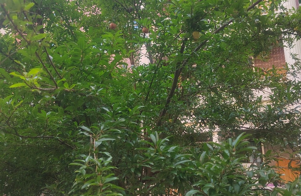 情感解忧指南：手机里的暖心陪伴