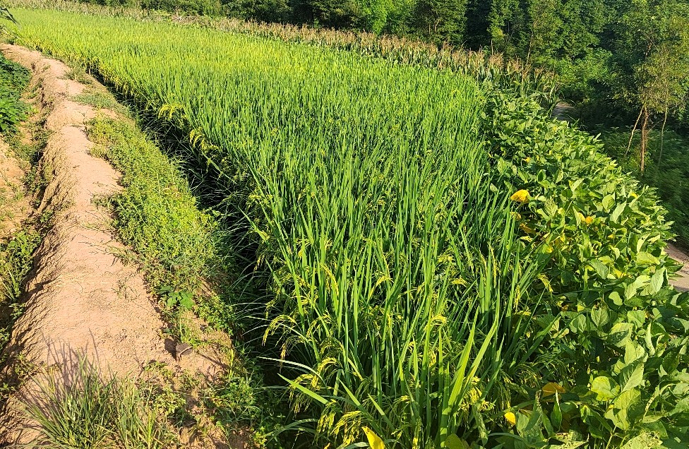 于烟火日常，织就爱之经纬