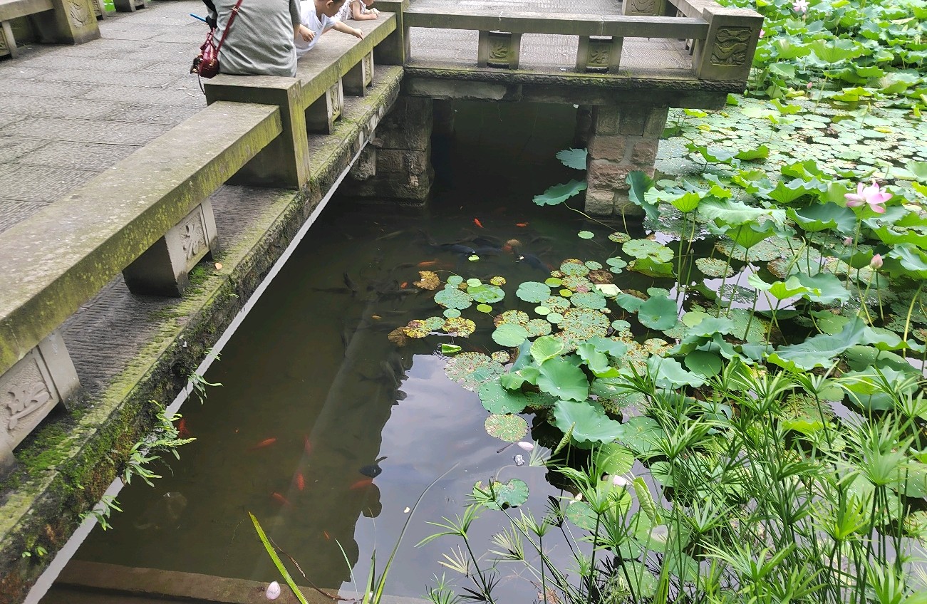 在爱里，学会和自己和解