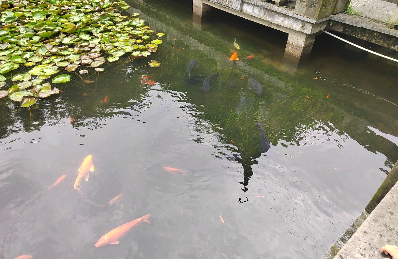 开启幸福旅程的实用指南