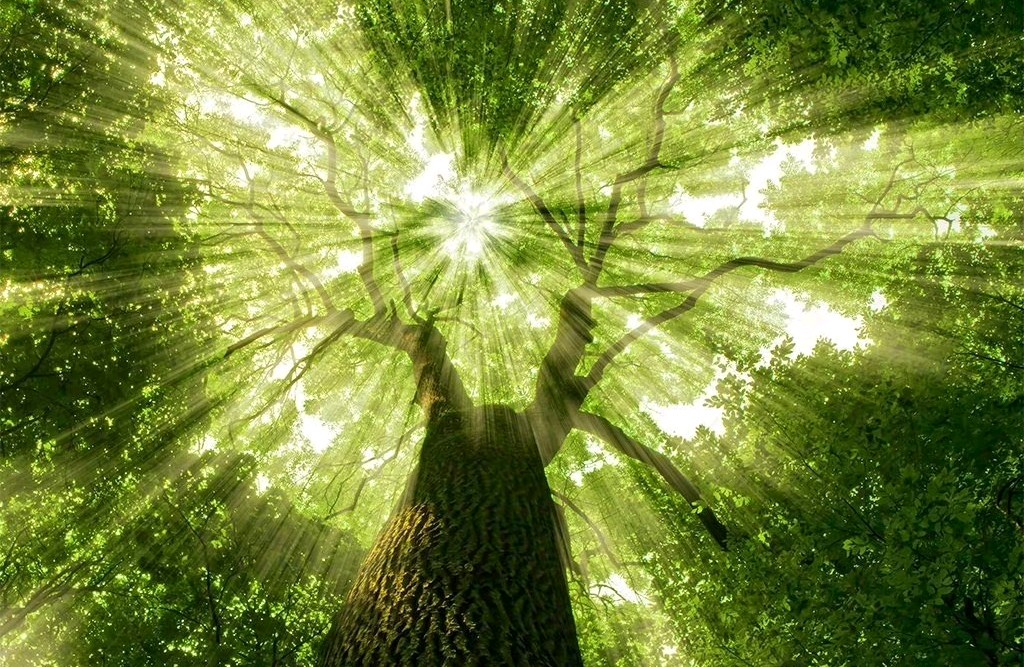 夫妻间搁置争议：适时的智慧之举