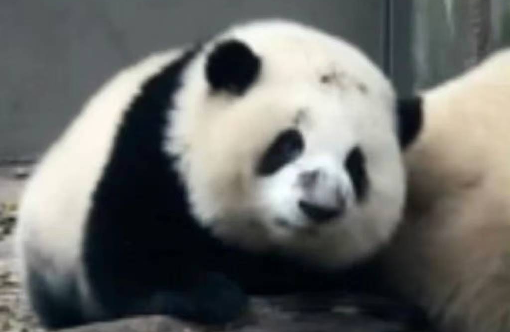 为什么有人总是无法处理好人际关系？