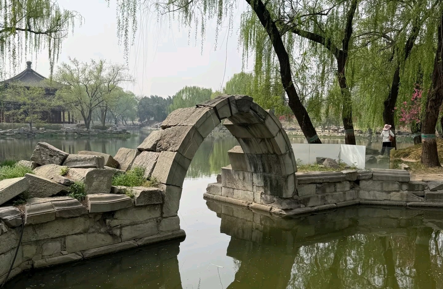 俄狄浦斯情结
