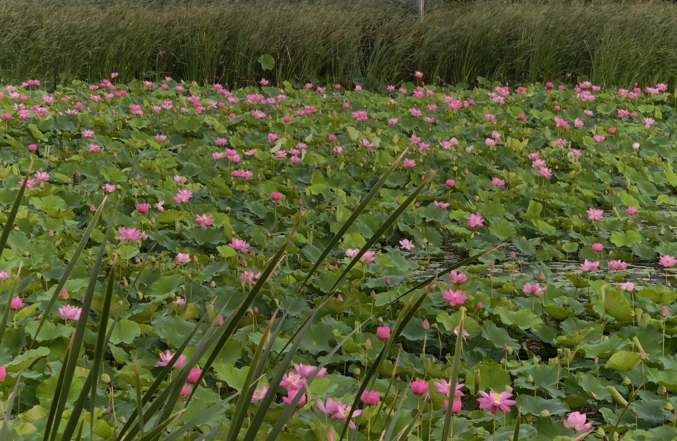 分手高净值离场实操指南