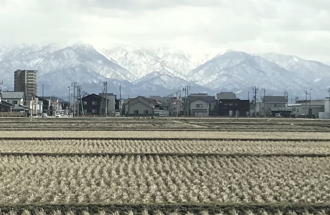 情感规划：主动编织关系的韧性之网