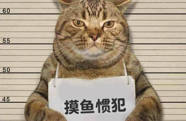 职场心态调整：面对“摸鱼”现象的智慧应对