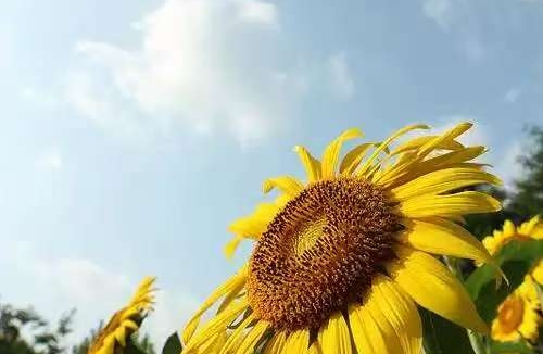 三步应对情绪反扑：从接纳失控到重建掌控