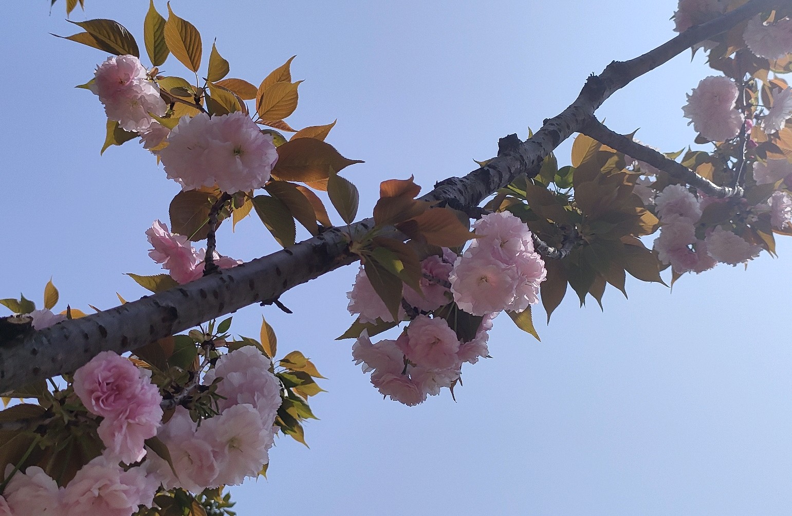 兴趣的三个层次（兴趣的培养）