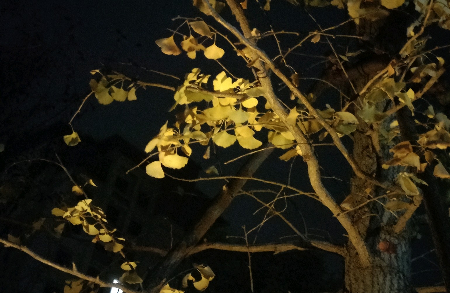 霍兰德职业兴趣理论（职业选择）