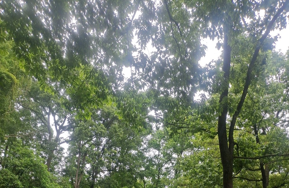 内向者如何在喧嚣中守护心理边界