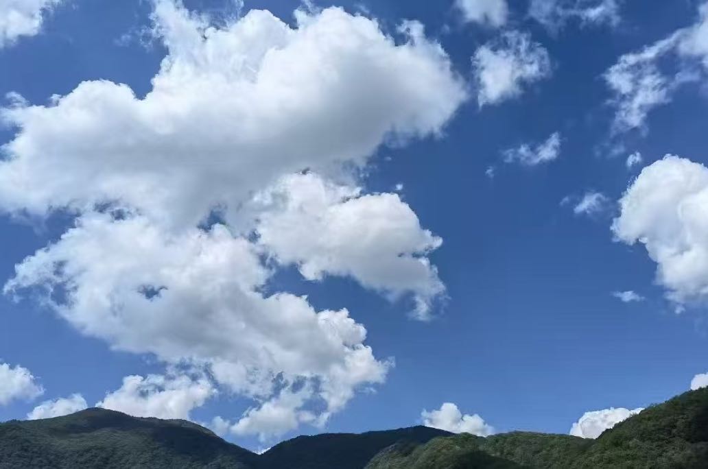 和恋人坐在一起，为什么反而更孤独了？放下手机找回真实连接