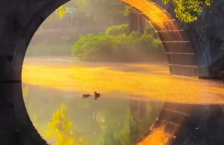 如何做到及时止损