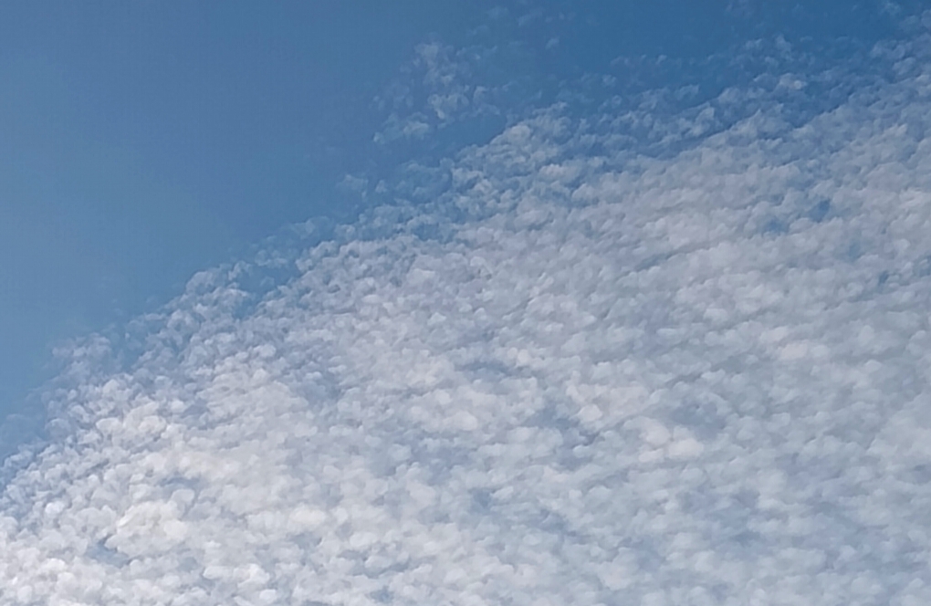 如何摆脱情感困境