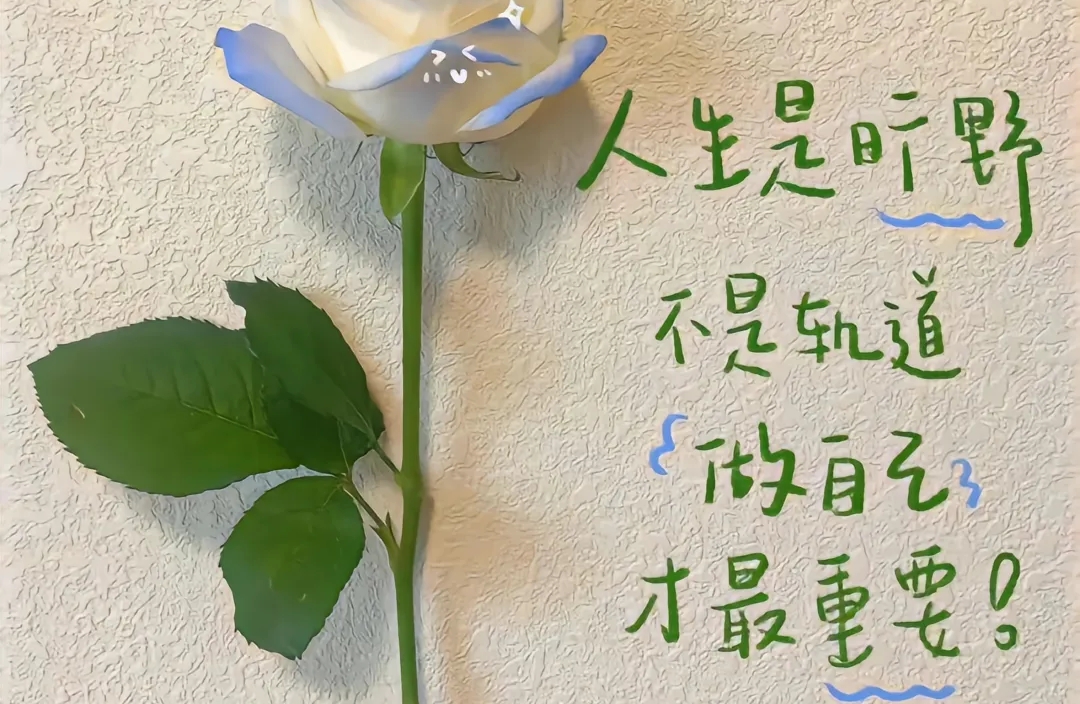 有趣的心理学知识——错误记忆（人们对过去事件的记忆与事实不符