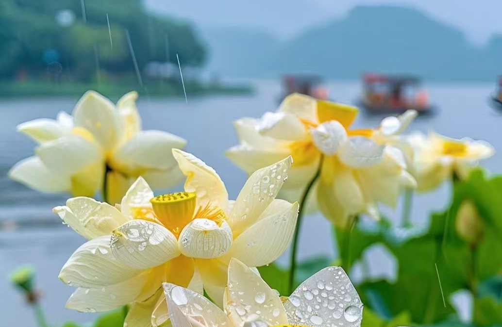人格不成熟的原因，共修