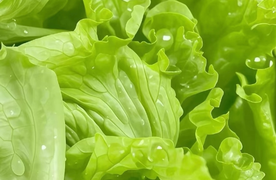 制定一份焦虑管理计划