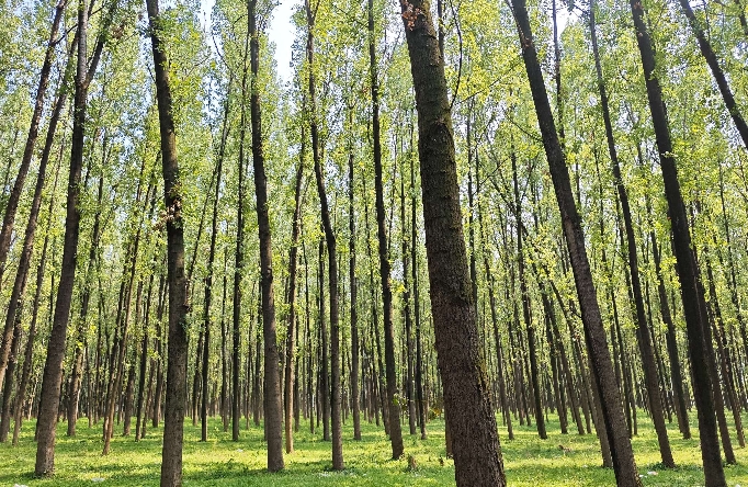 走出困扰的时候，你会发现自己很强大