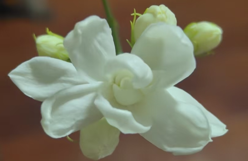 接纳爱情