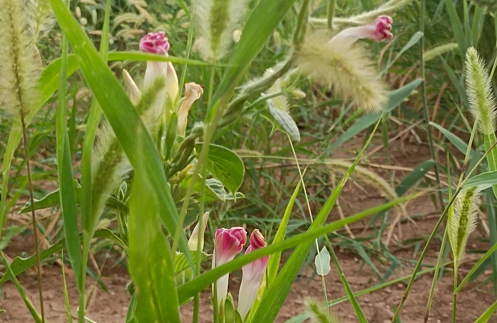 如何激发内在动力