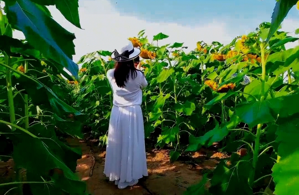 会撒娇的女人最好命