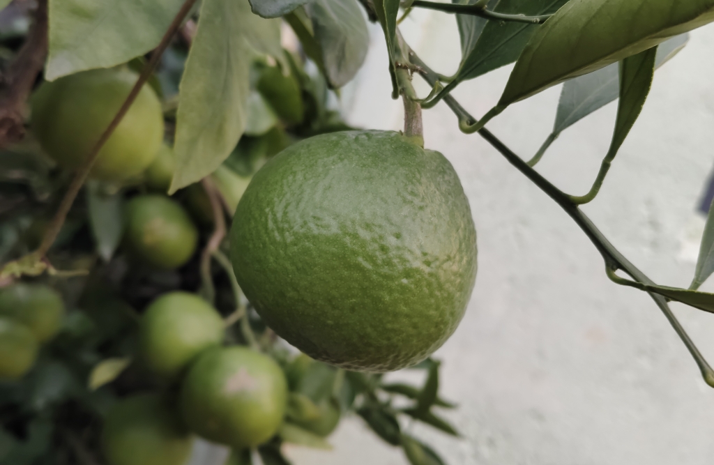玩游戏输了后，控制不了自己的情绪伤害自己怎么办