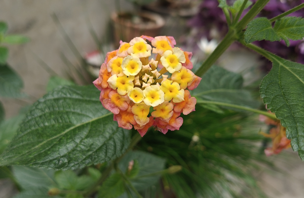 如何更好的解决“冷战”的关系二