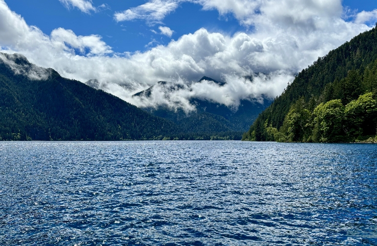 现代人过度依赖手机和信息刺激会带来什么变化呢？