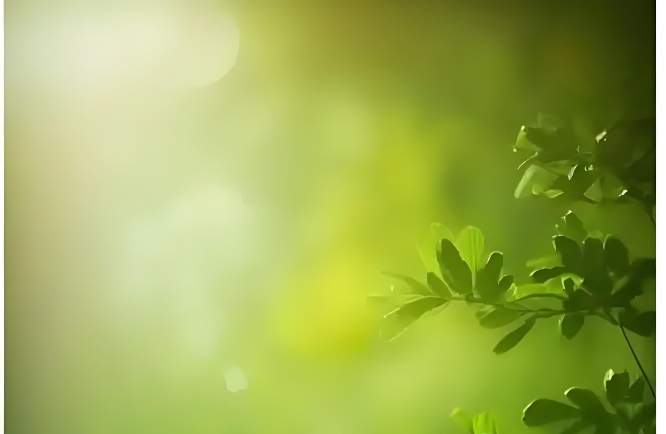 如何做到“不在别人的剧本里”找自己？