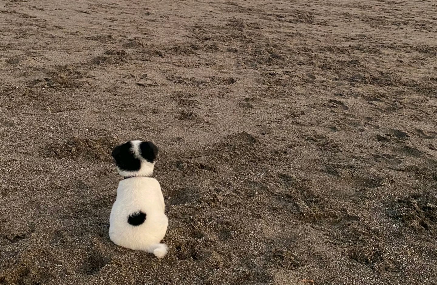 怎么疗愈原生家庭带来的伤害