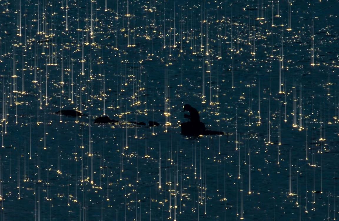 焦虑型依恋如何转成安全型依恋