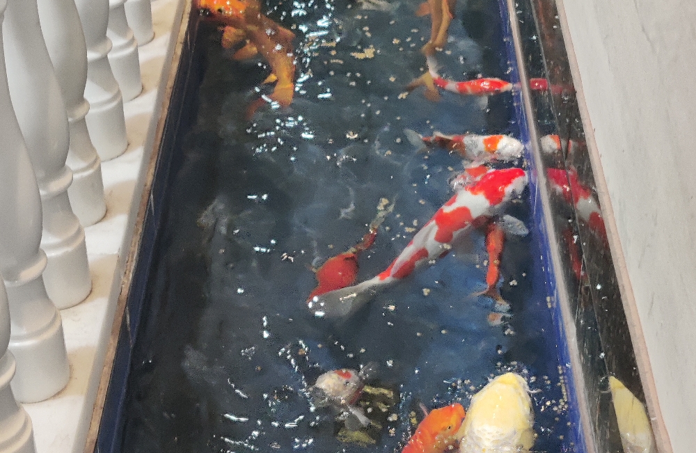 夫妻之间的裂痕如何修复？