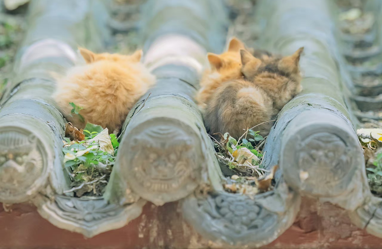 在恋爱中如何判断是爱还是习惯？