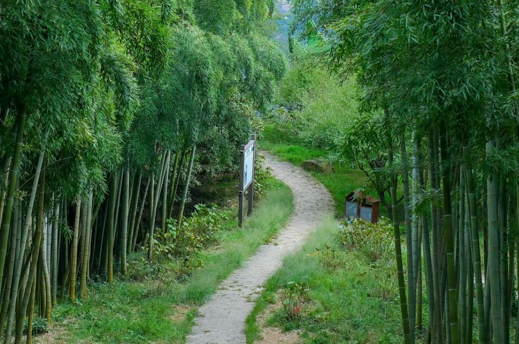 自我对自己的权利：心理学视角下的三重心灵主权