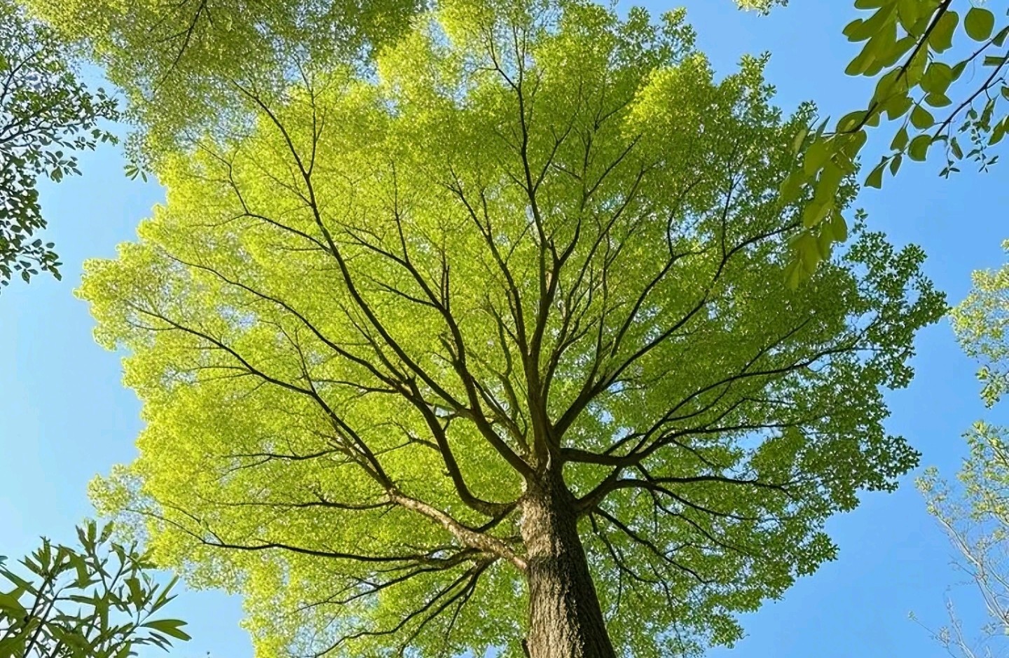 动态平衡的共生系统，一段关系保持不变的秘密