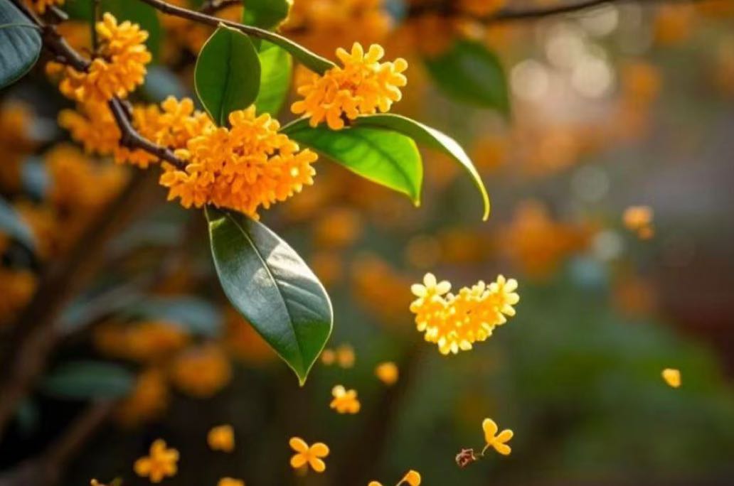 把“他人的人生”还给他人／是对自己最大的放过
