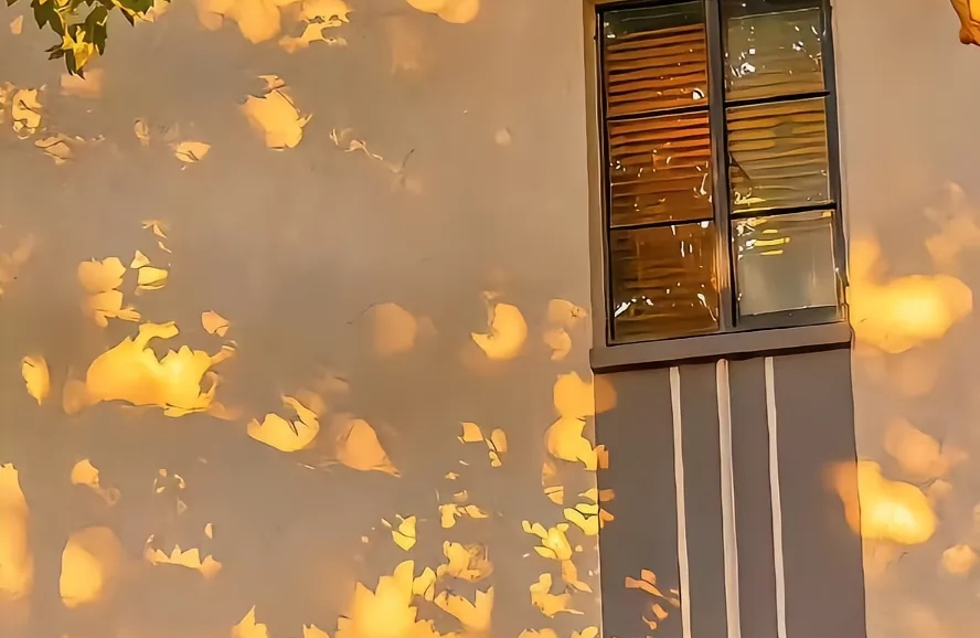 当婚姻遇上“灵魂伴侣”：一场心理边界与自我成长的修行