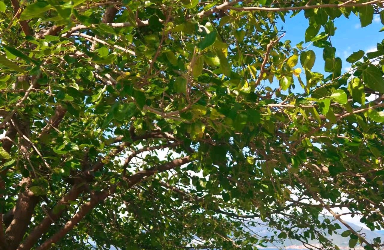 三个使用小技巧，帮你轻松应对日常小困扰